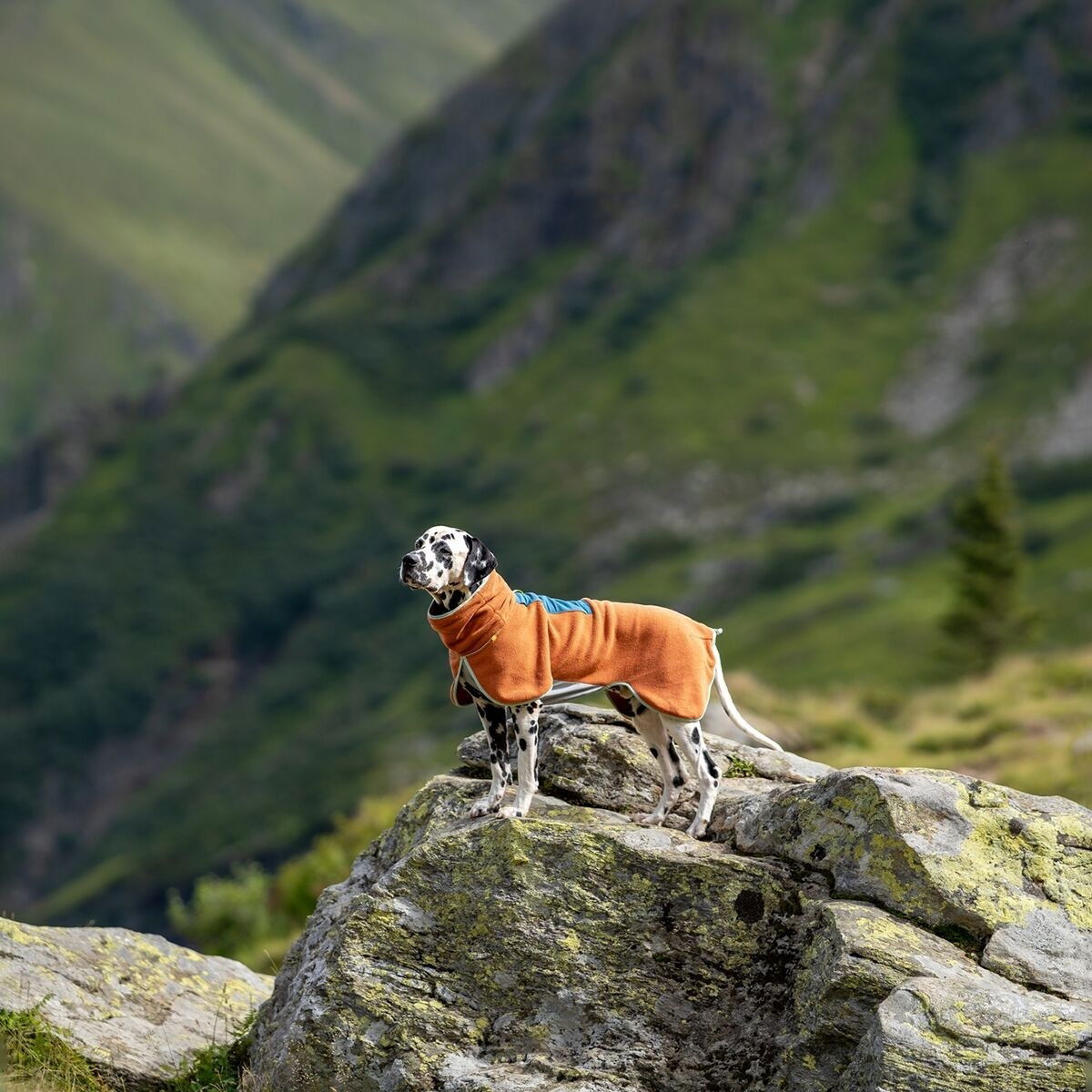 Woolly Wolf Alpha 360 Fleece pullover, Terracotta Mix