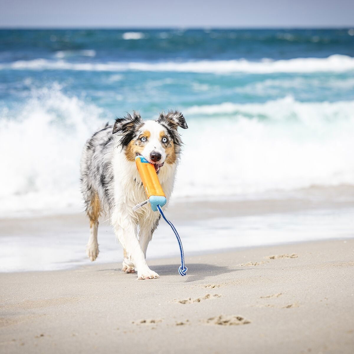 Chuckit Bumper Dummy