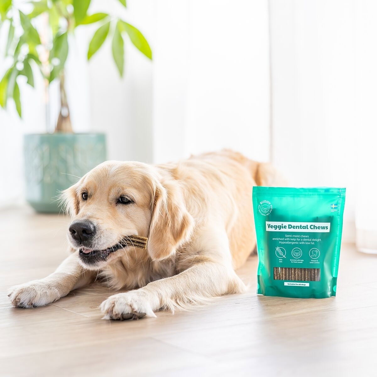 Buddy Veggie Dental Chew M