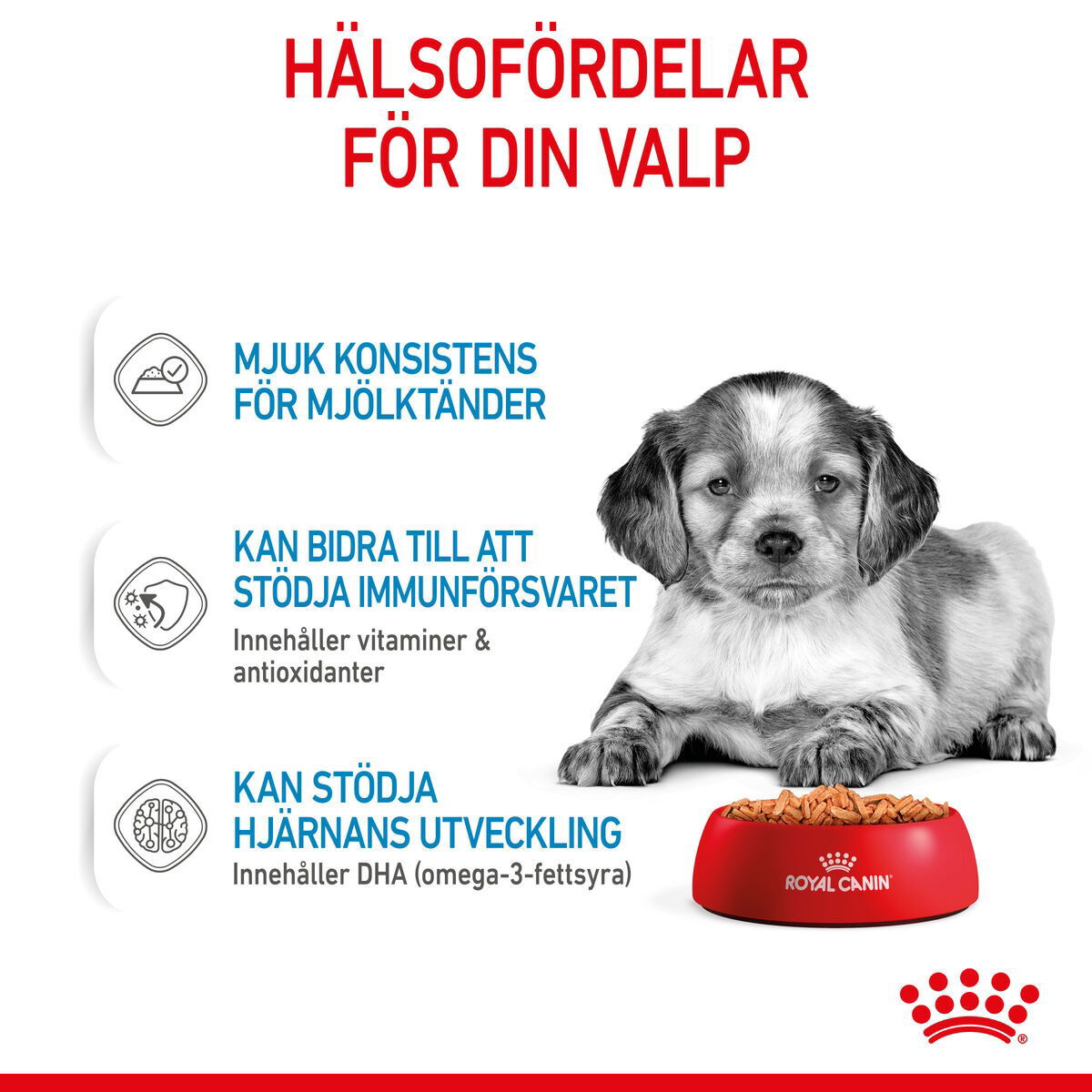 Royal Canin Medium Puppy Gravy våtfoder för hundvalp