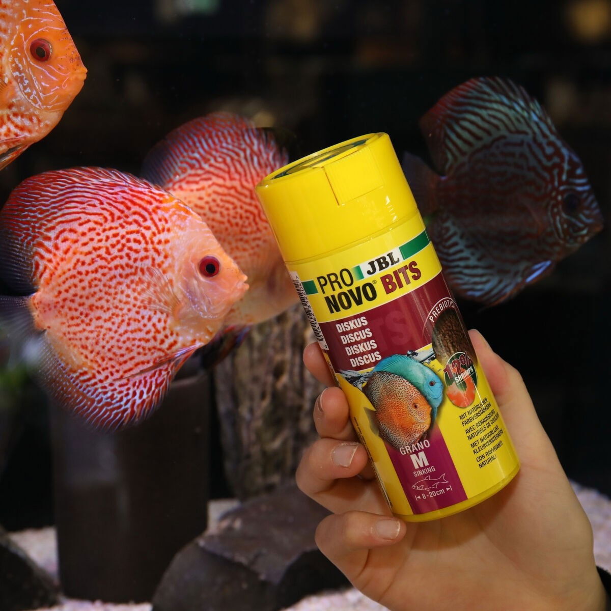 JBL Poronovo Bits Grano M 250ml Click