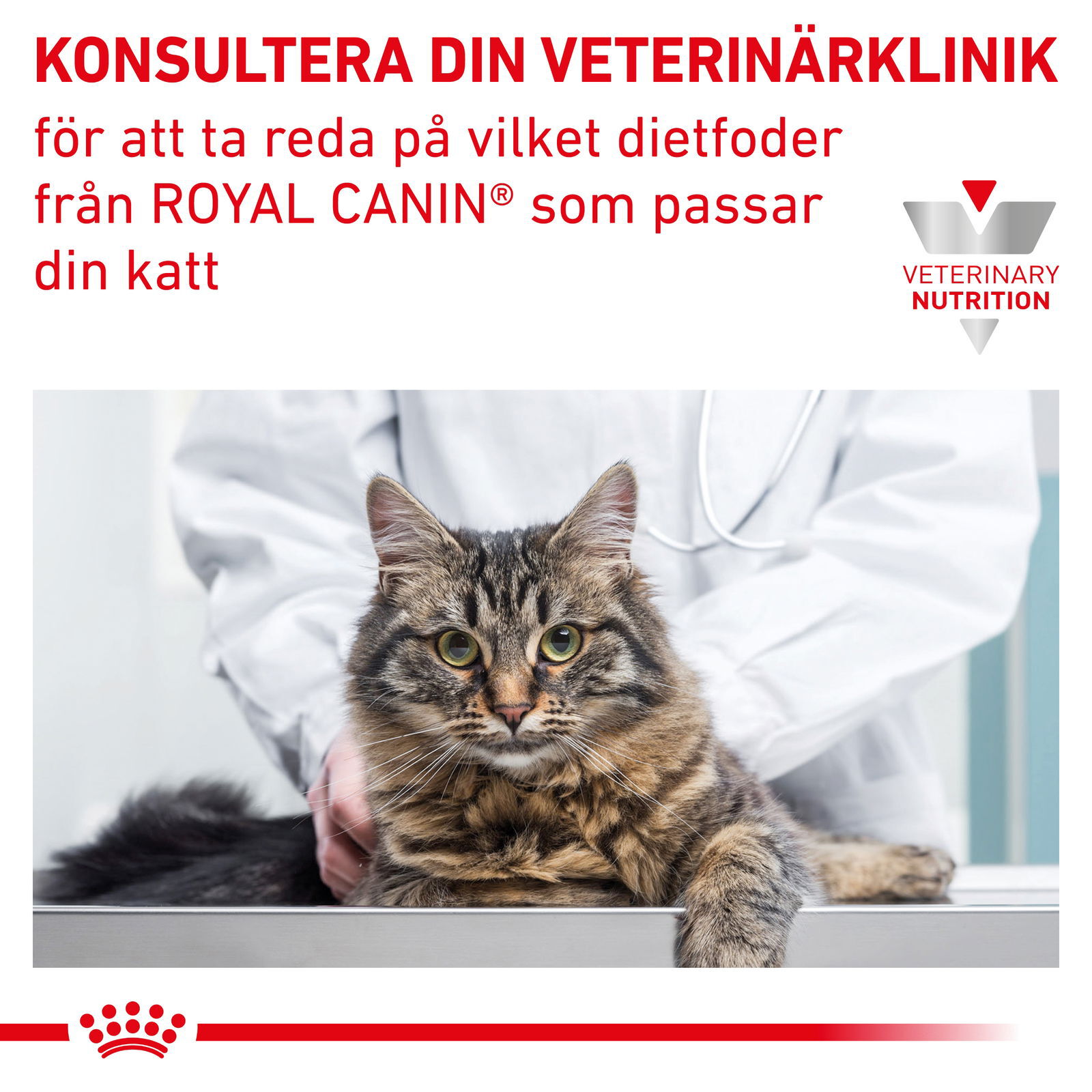 Royal Canin Veterinary Diets Gastrointestinal Moderate Calorie Slices In Gravy våtfoder för katt