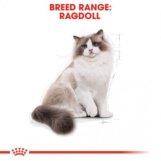 Royal Canin Ragdoll Adult torrfoder för katt