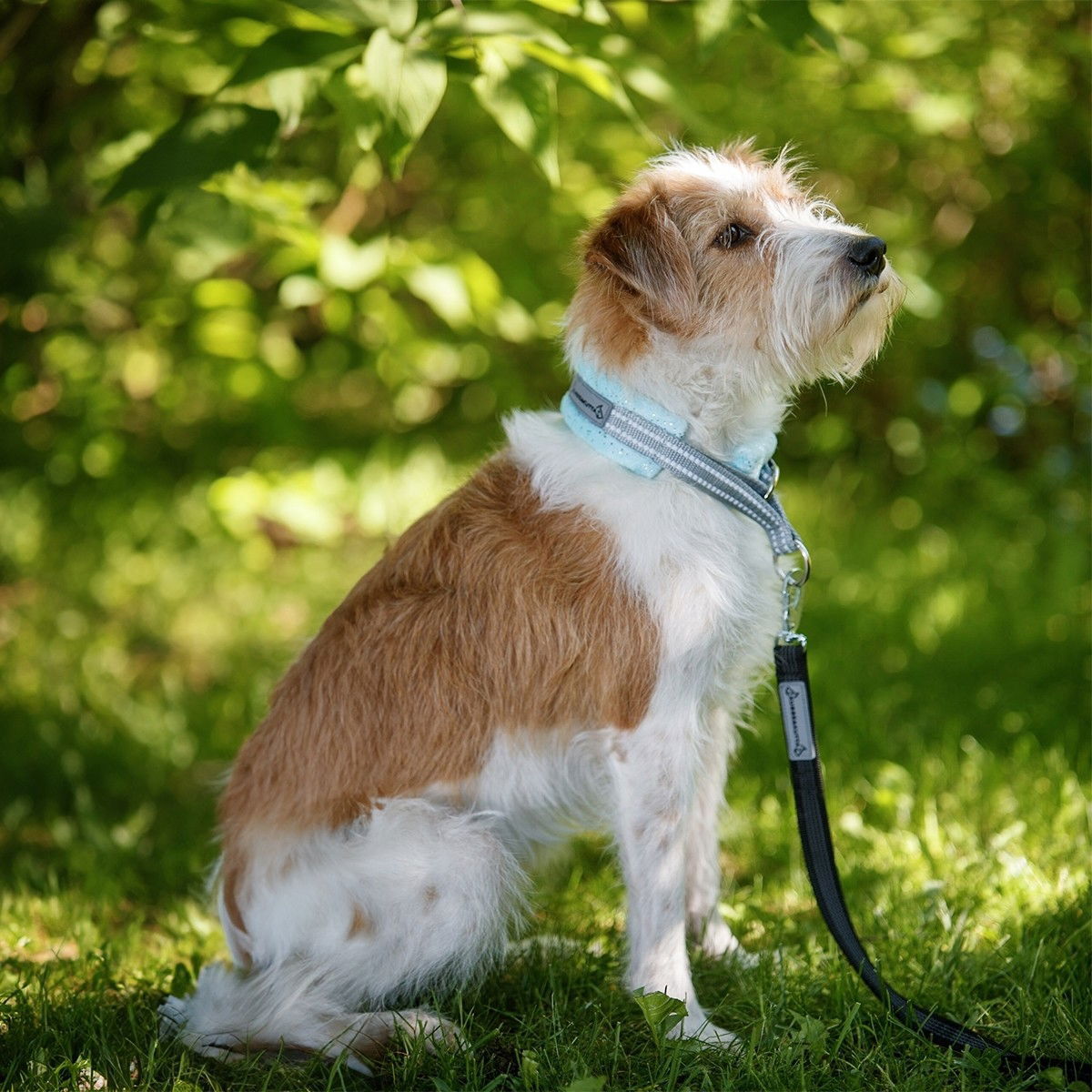 Kusse&Kutta grip leash BGB, 300cm