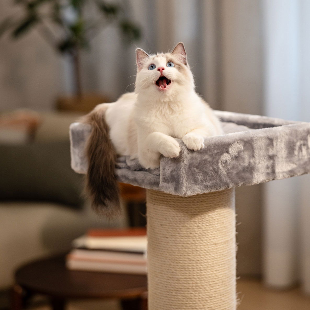 Basic Column Scratcher S 50x50x100cm