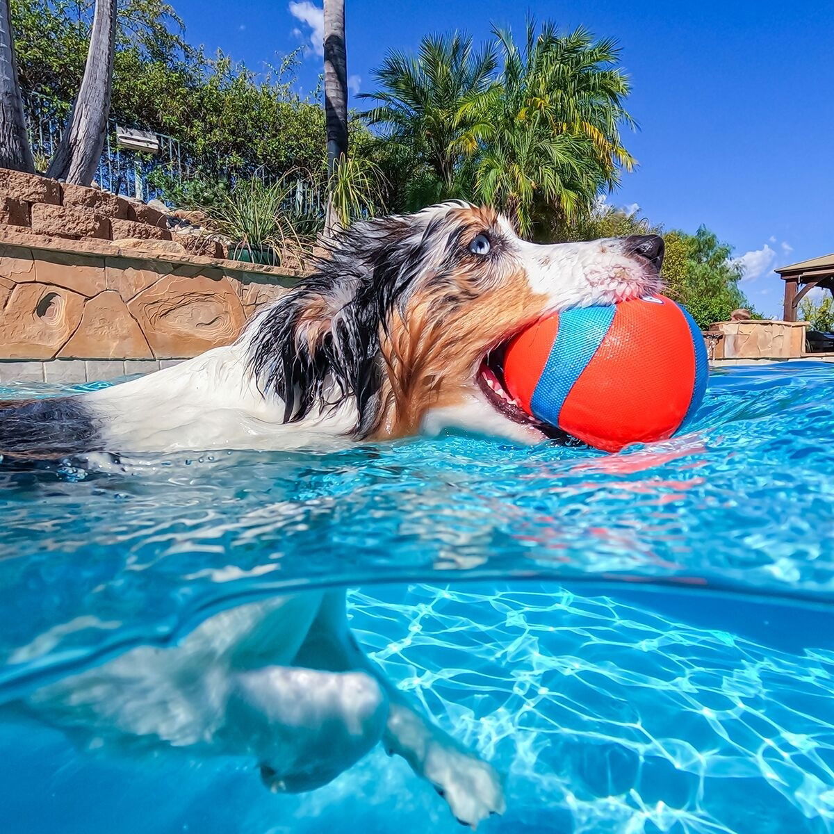 Chuckit AMPHIBIOUS MEGA BALL