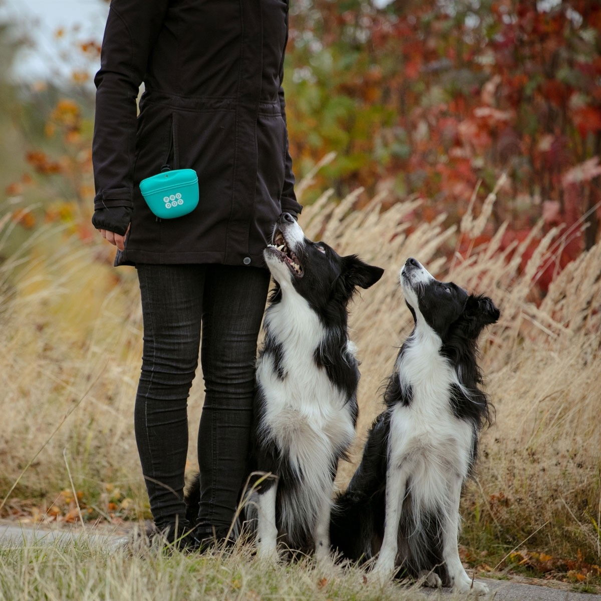 Pro Dog Silicon Treat Bag turquoise