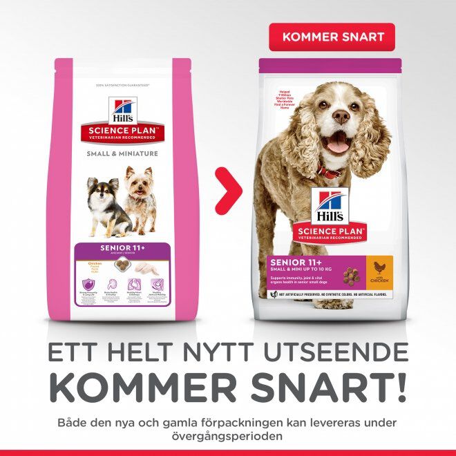 Hill's Science Plan Dog Senior Small & Mini