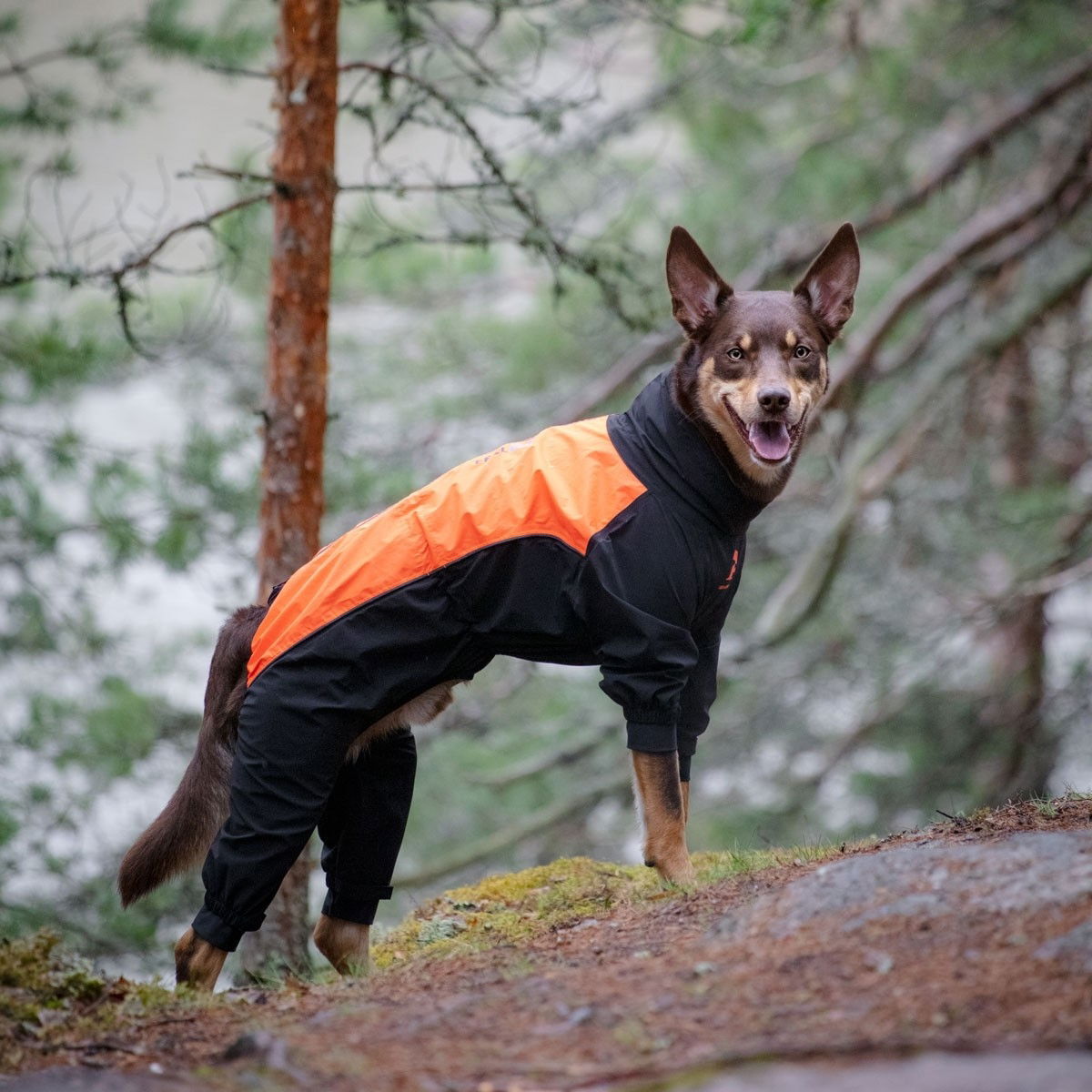 Feel Active Helsingborg refl. overall