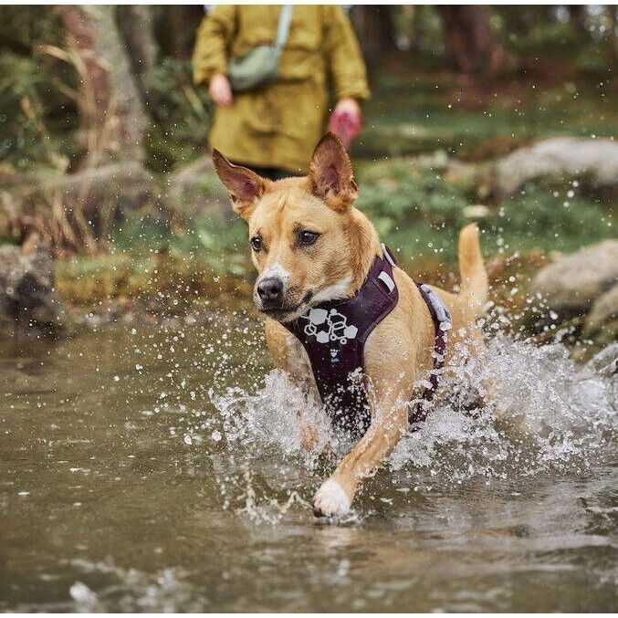 Hurtta Weekend Warrior Harness II ECO eggplant