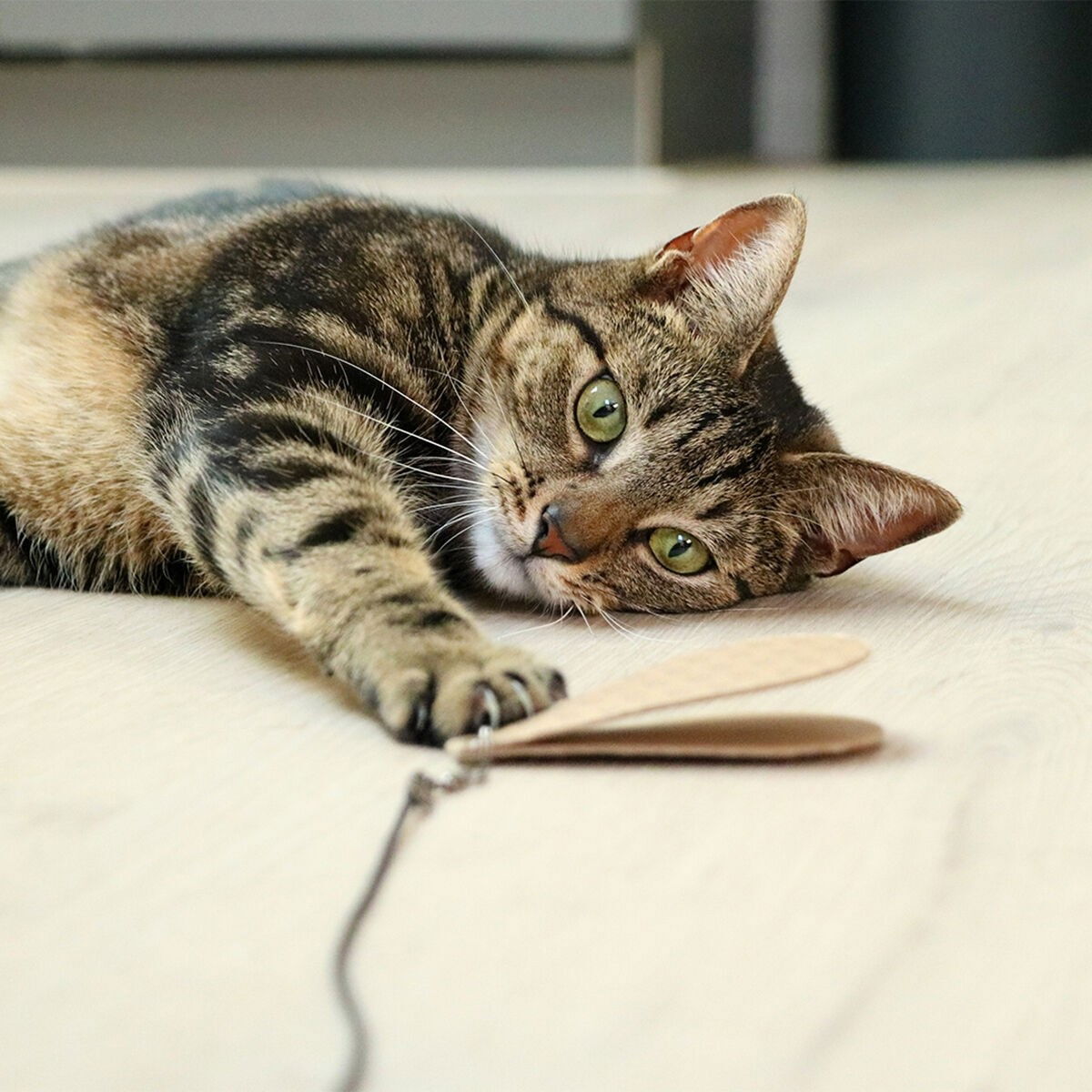 I Love Happy Cats Connor Refill prey 3pcs