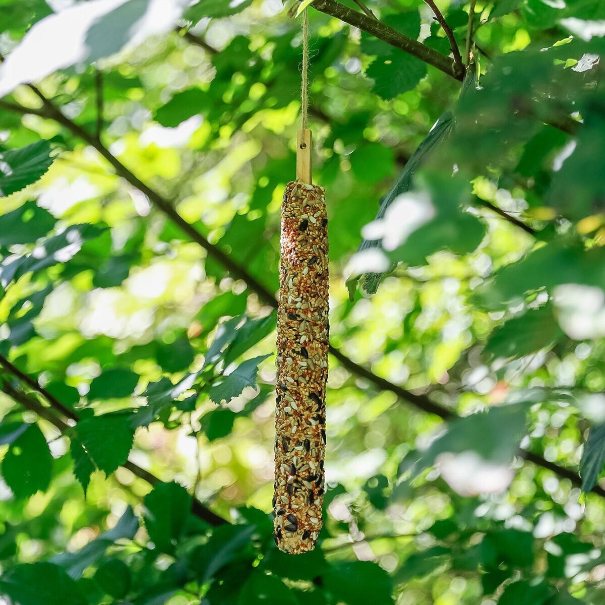 Food bar with millet