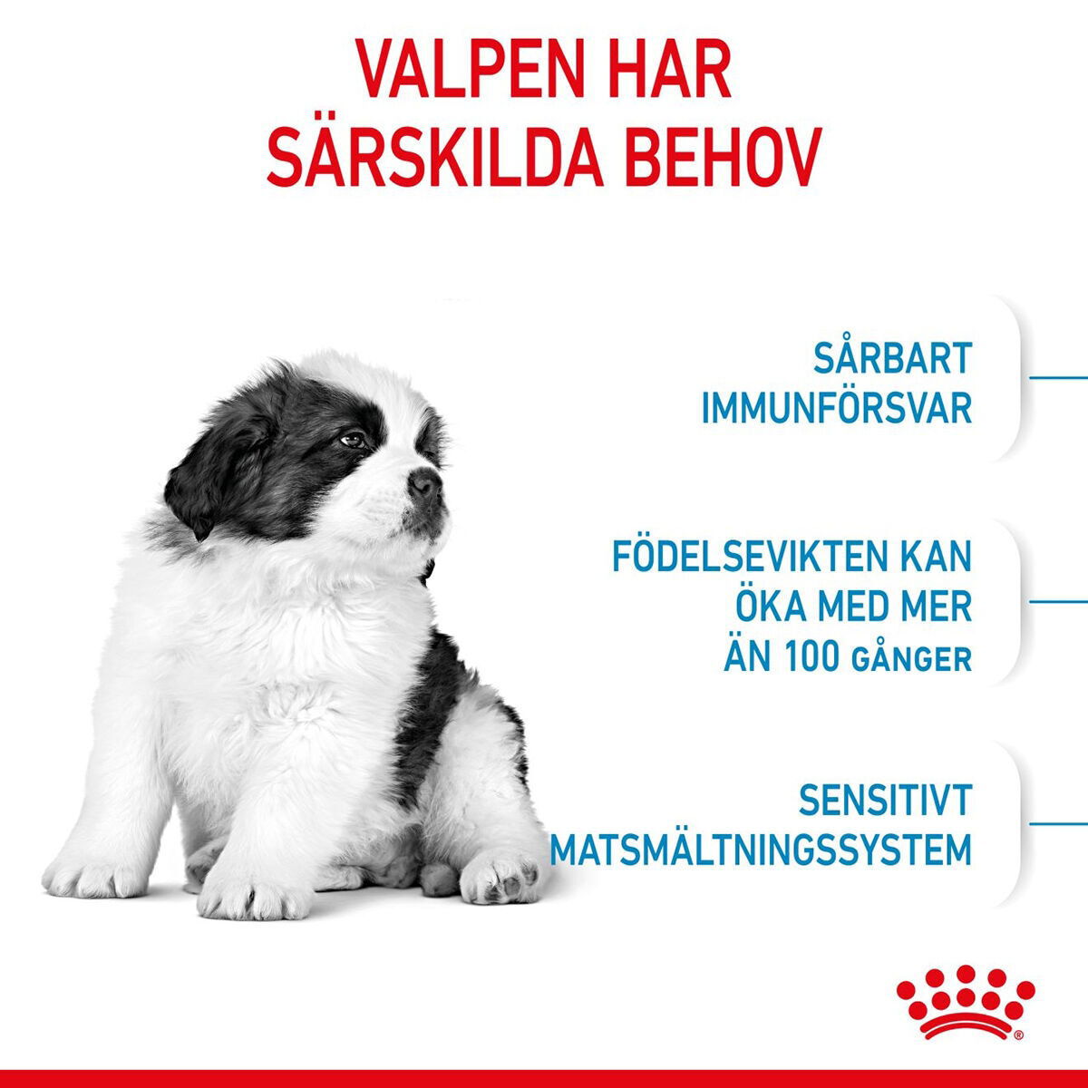Royal Canin Giant Puppy torrfoder för hundvalp