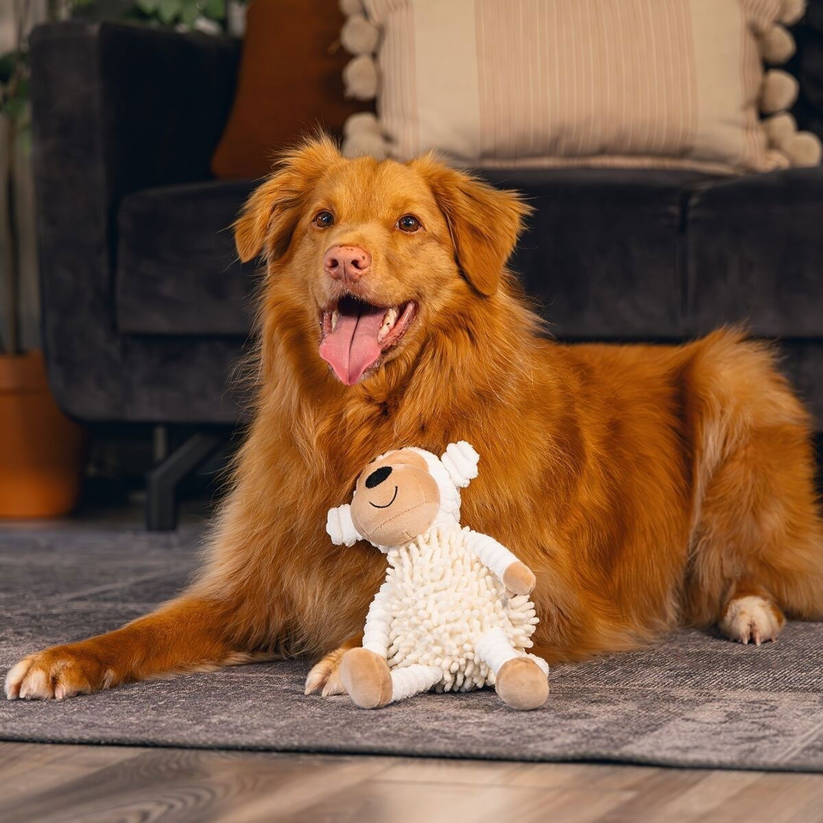 Beeztees Eco Monkey Jeppe