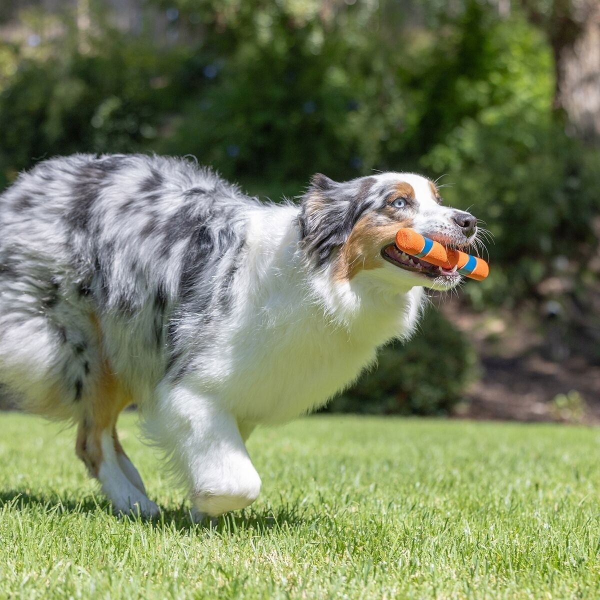 Chuckit ULTRA FETCH STICK