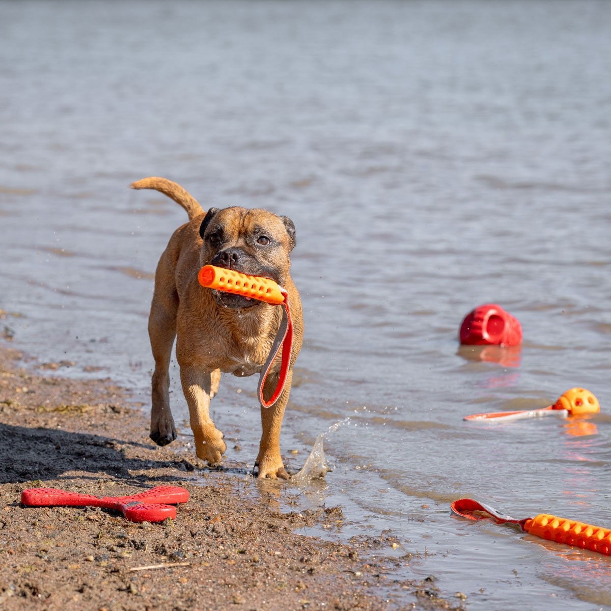 N-Gage Active bumper orange M