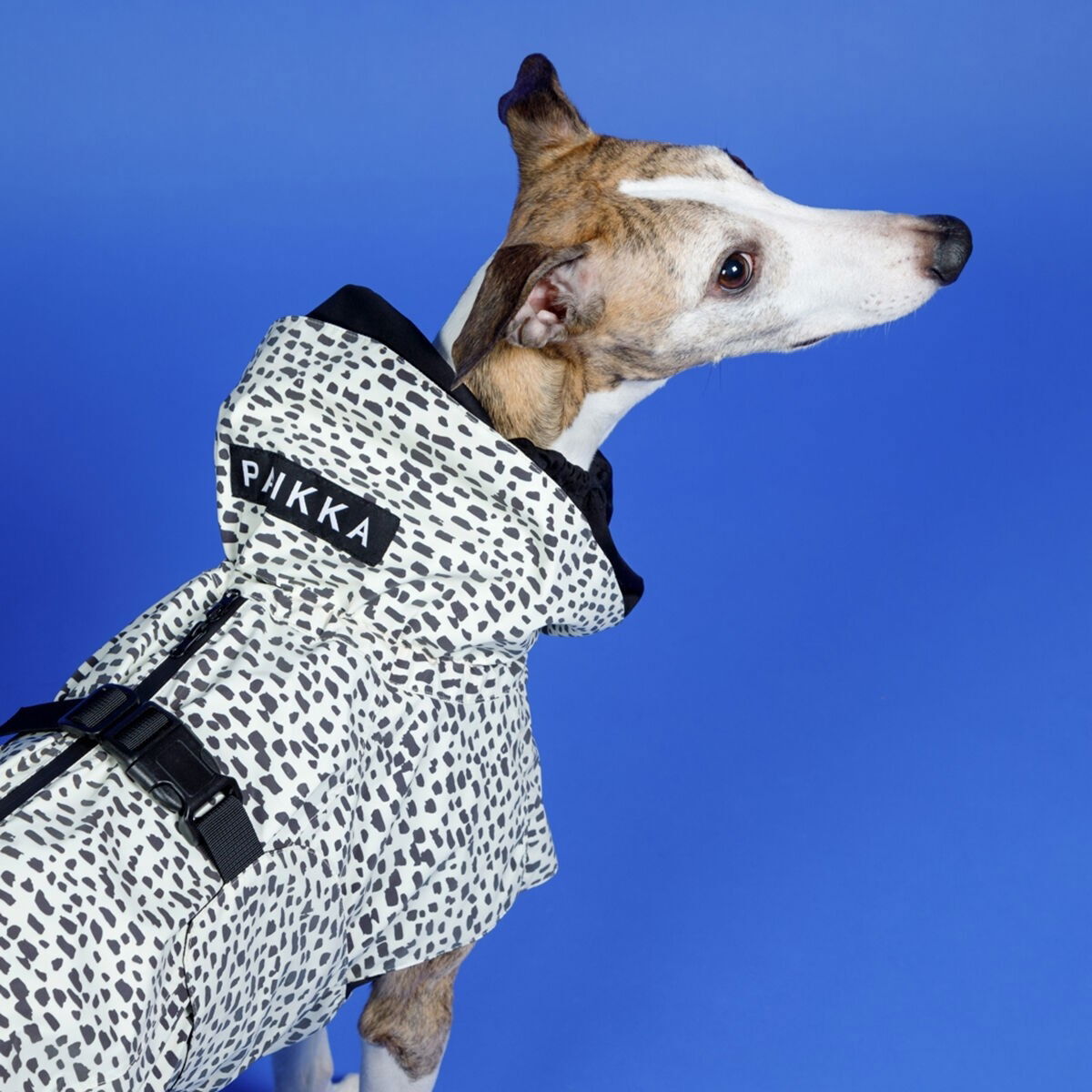 PAIKKA Raincoat  2.0