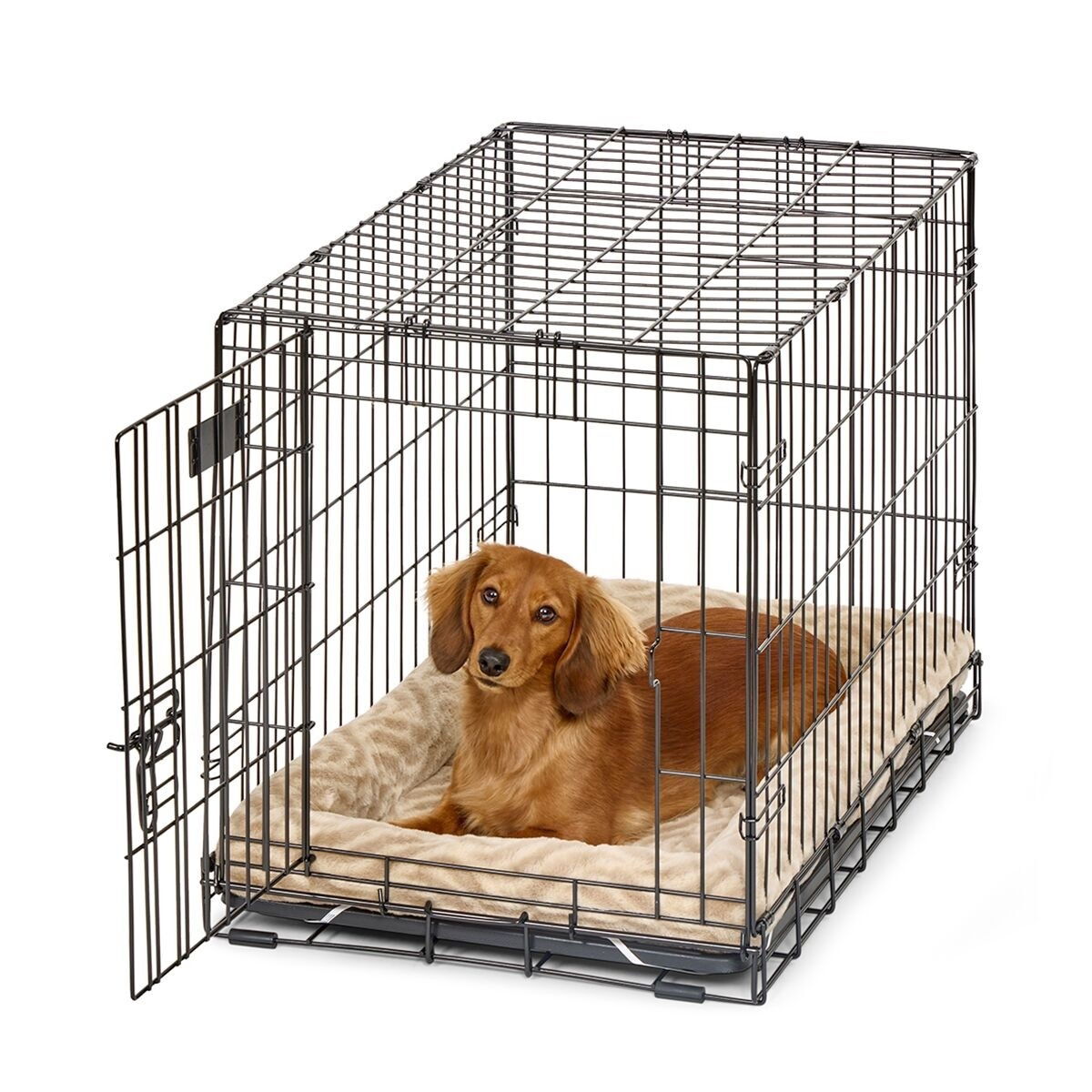 Midwest QuietTime Wave Pet Bed Tan