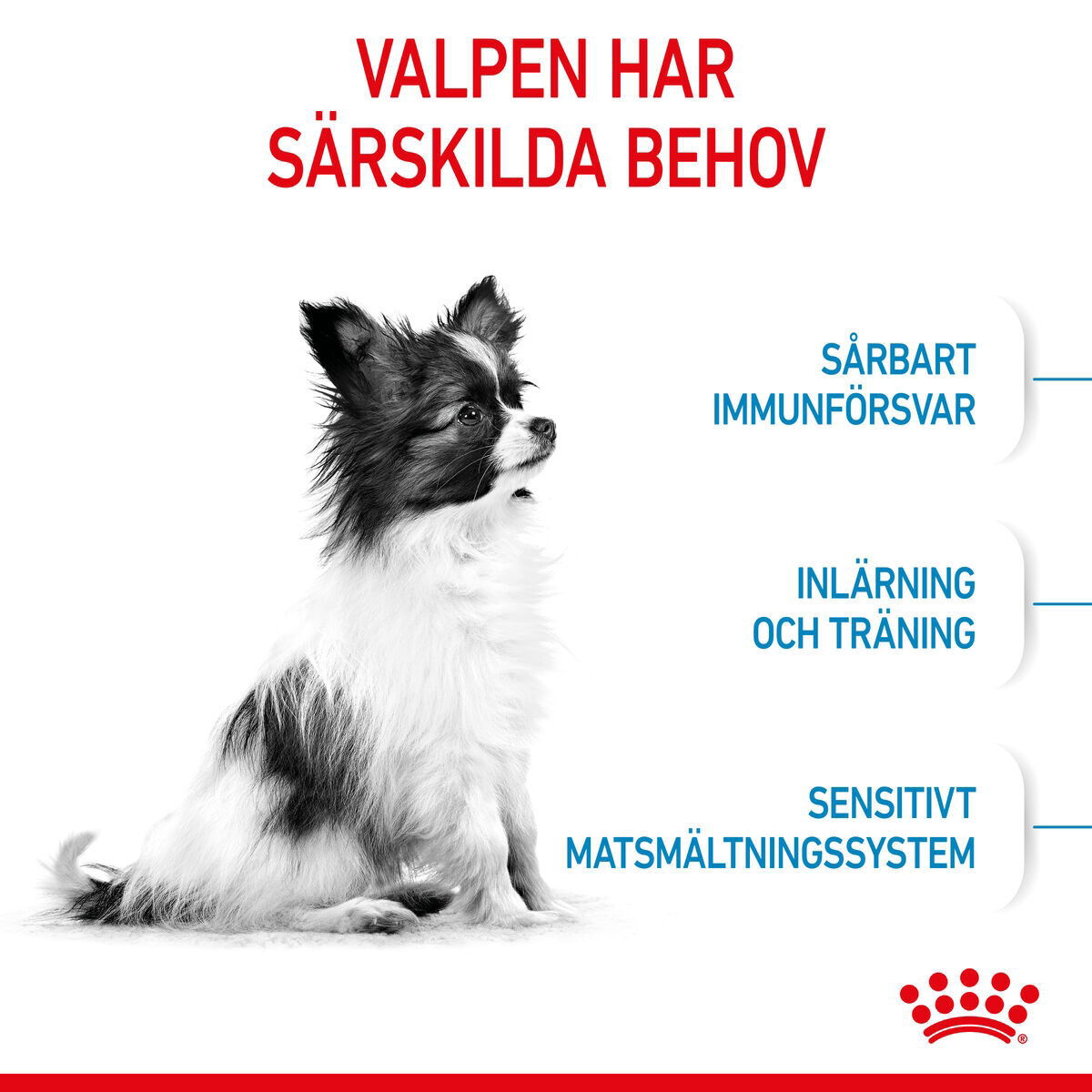 Royal Canin X-small Puppy torrfoder för hundvalp