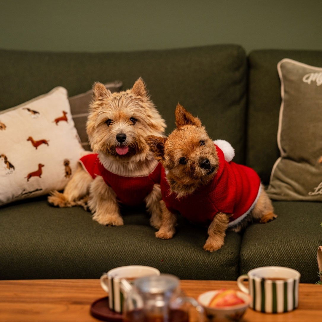 Little&Bigger Nostalgic sweater red