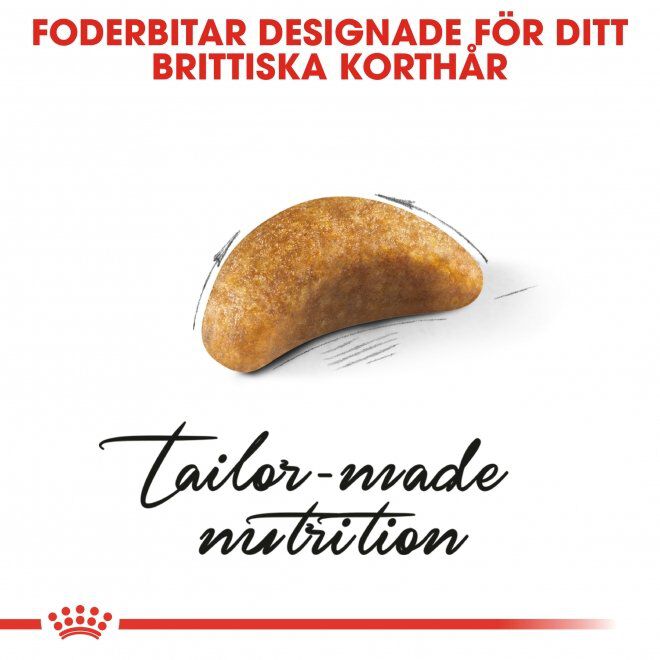 Royal Canin British Shorthair Kitten torrfoder för kattunge