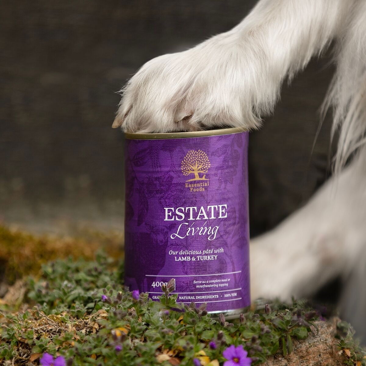 ESSENTIAL ESTATE LIVING PATÉ  400g