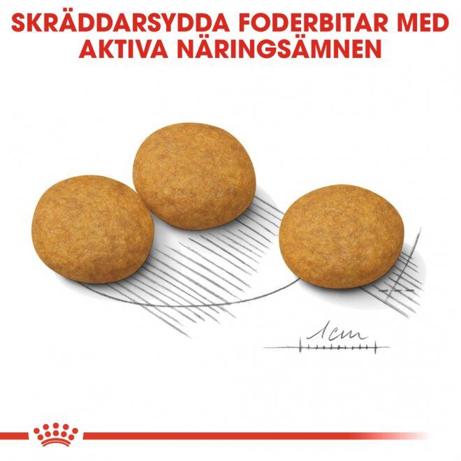 Royal Canin Dermacomfort Medium Adult torrfoder för hund