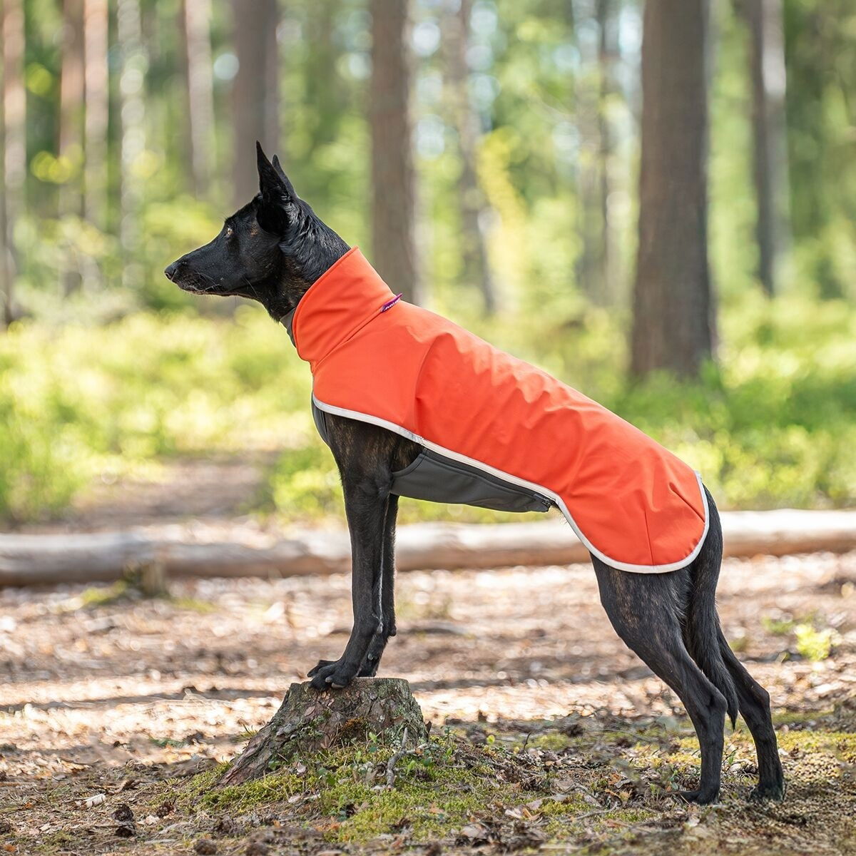 SporttiPomppa Habanero