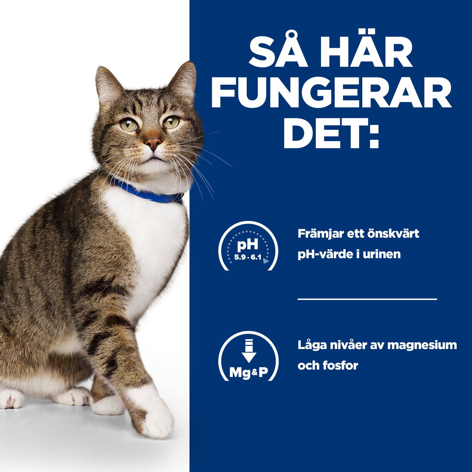 Hills Diet Cat s/d 1,5kg