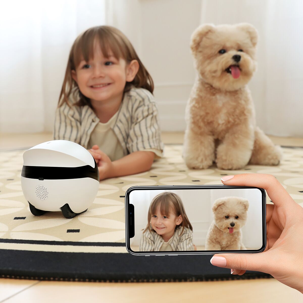 Enabot Rola Mini Companion Robot