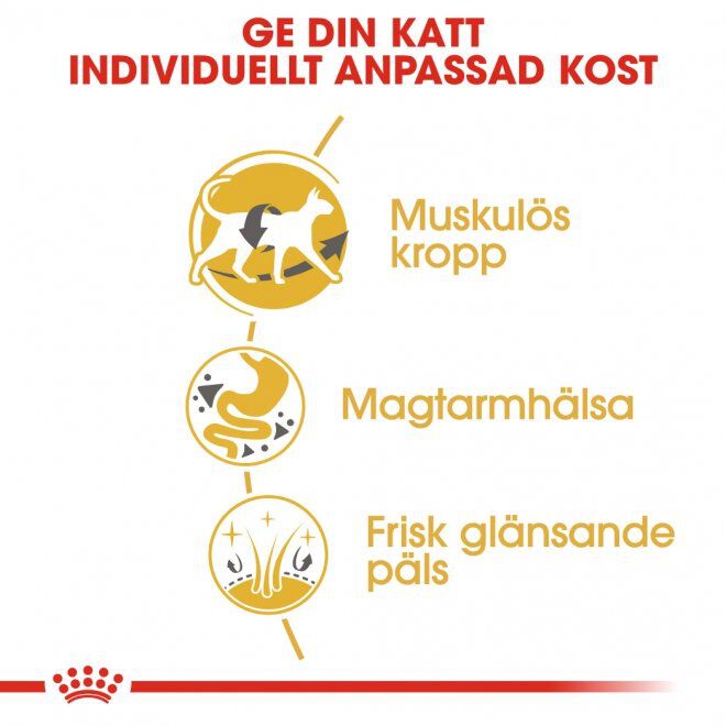 Royal Canin Siamese Adult torrfoder för katt