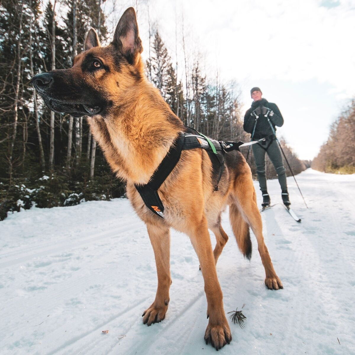 Non-stop Freemotion Dragsele 