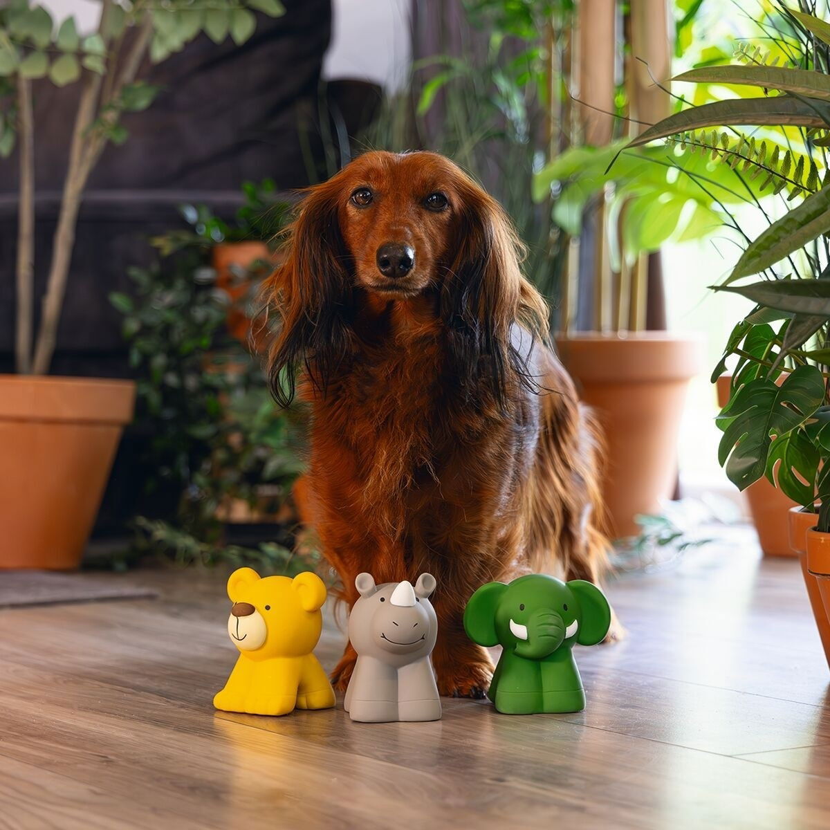 Beeztees Latex Dog Toy Jungle Animals assorted