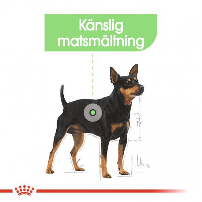 Royal Canin Digestive Care Adult Loaf våtfoder för hund