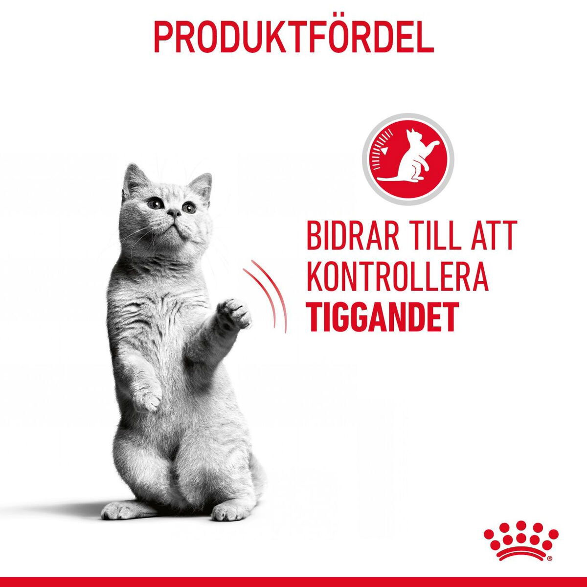 Royal Canin Appetite Control Care Gravy Adult våtfoder för katt