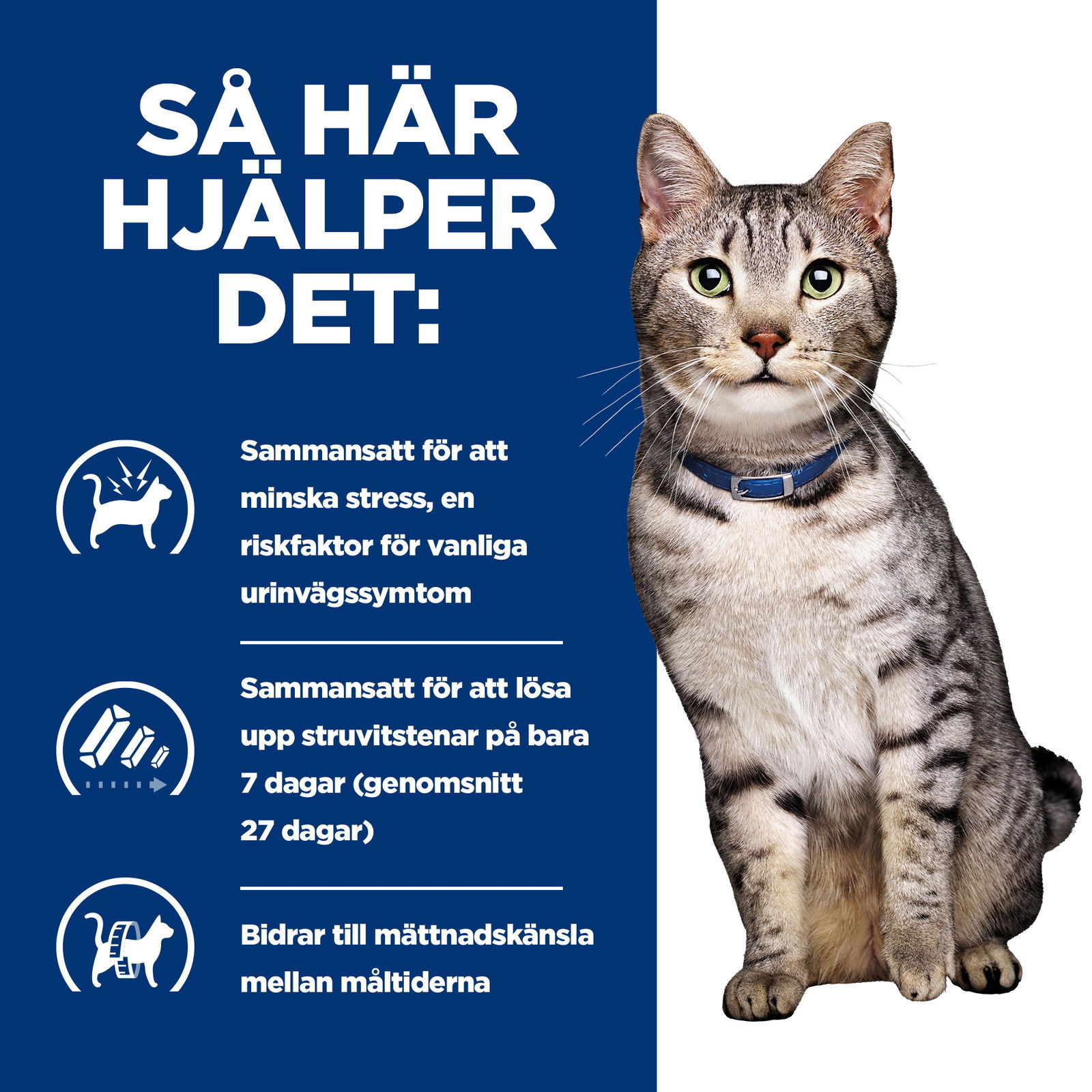 Hills Diet Cat Metabolic + Urinary Stress 1,5kg