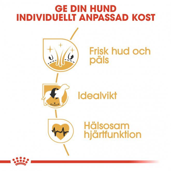 Royal Canin Cocker Adult torrfoder för hund