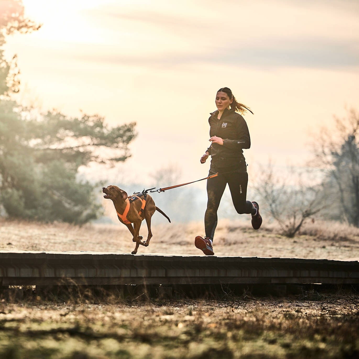 Non-stop dogwear Canix belt 2.0 black