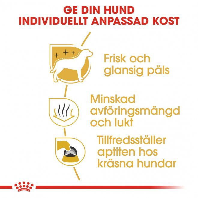 Royal Canin Breed Maltese Adult