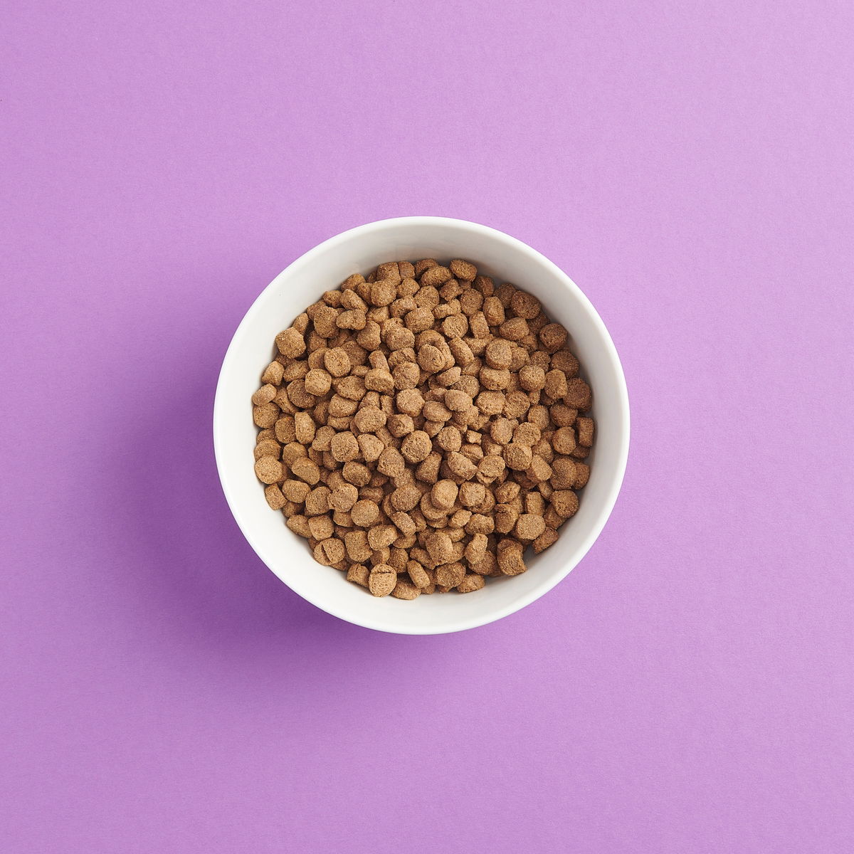 Smaak Dog Adult Small Breed Chicken