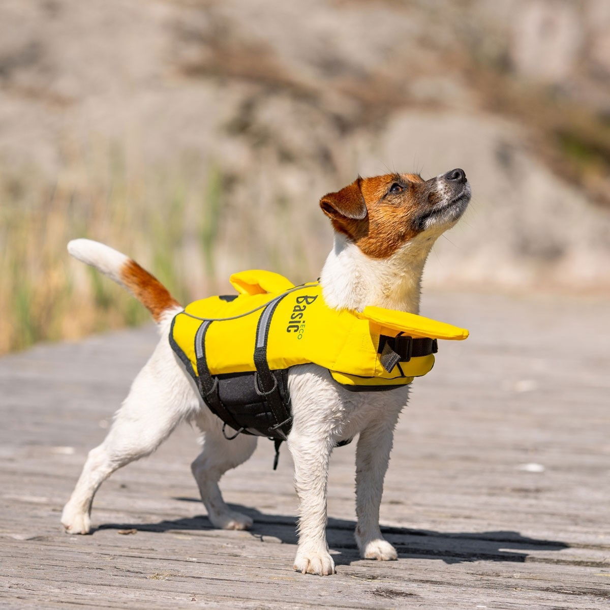 Basic Float lifejacket 2.0 yellow