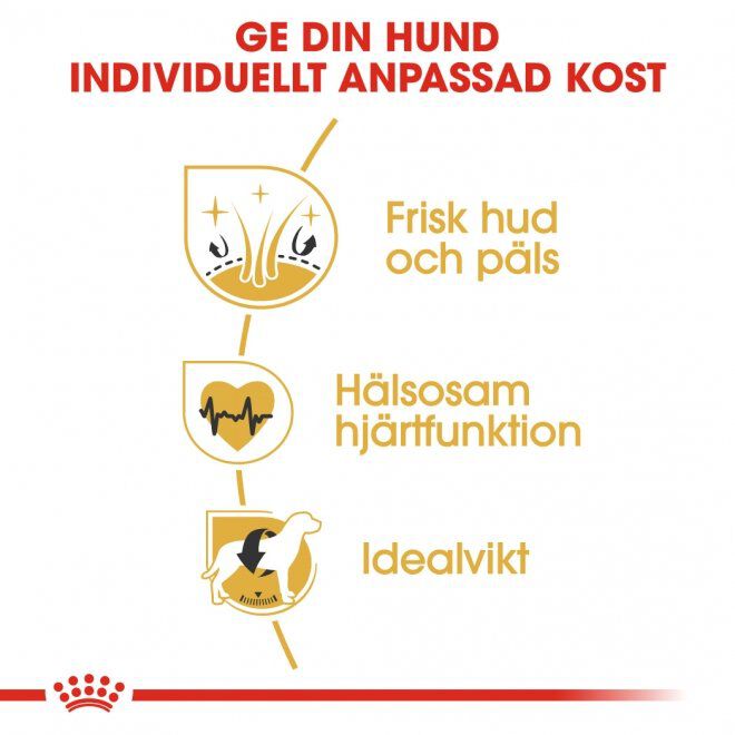 Royal Canin Golden Retriever Adult torrfoder för hund