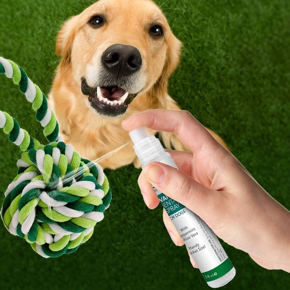 Vet's Best Dental Spray&Ball Rope