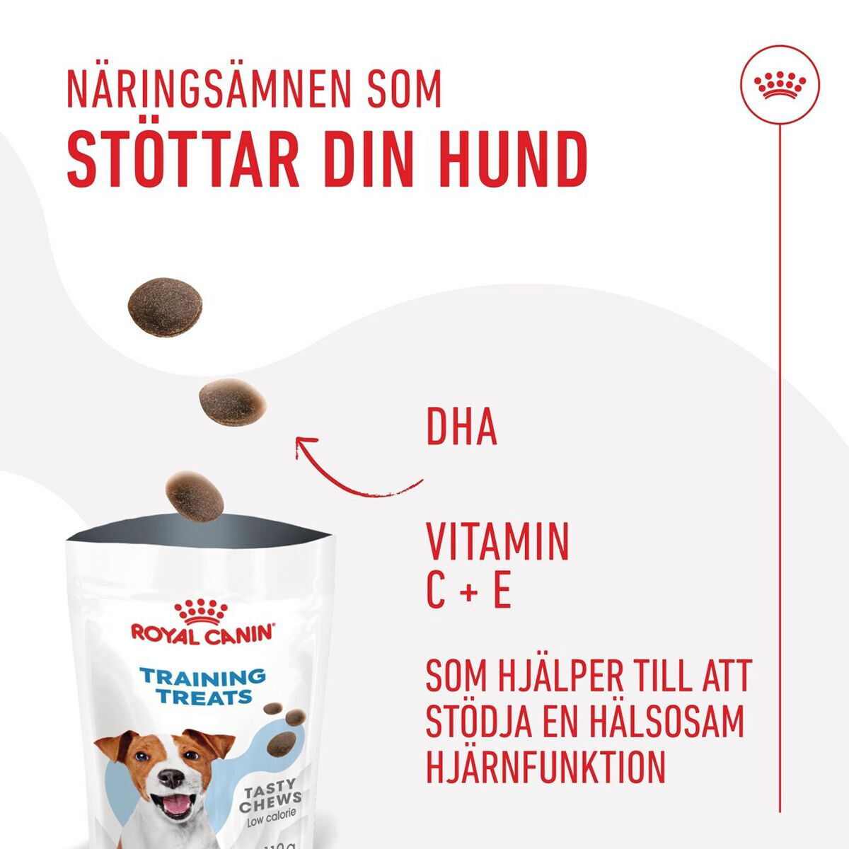 Royal Canin Dog Training Treats 110g