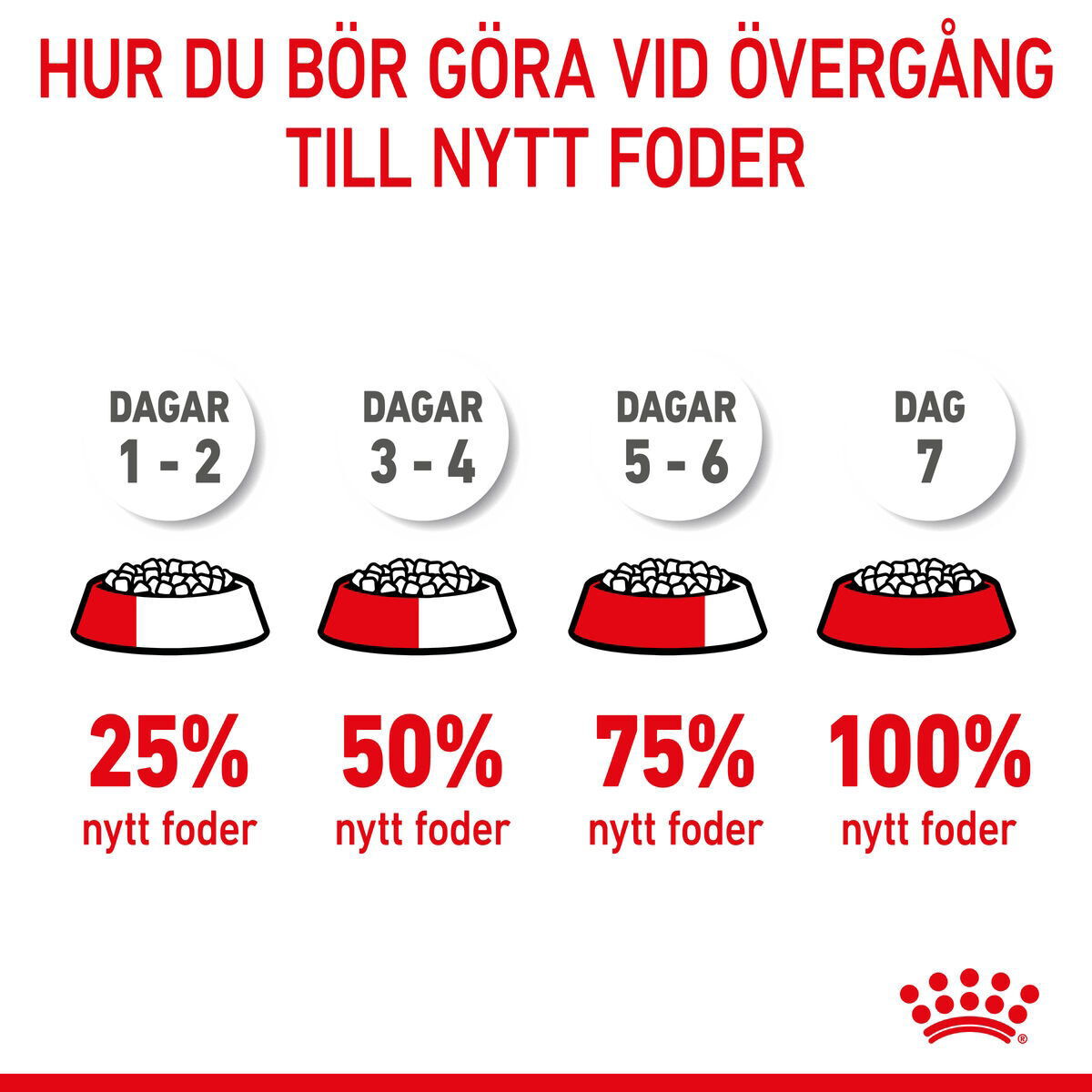 Royal Canin Medium Starter torrfoder för hund och hundvalp