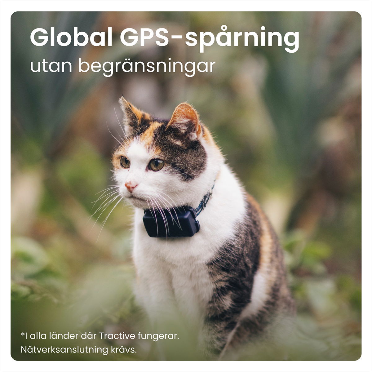 Tractive GPS CAT Mini