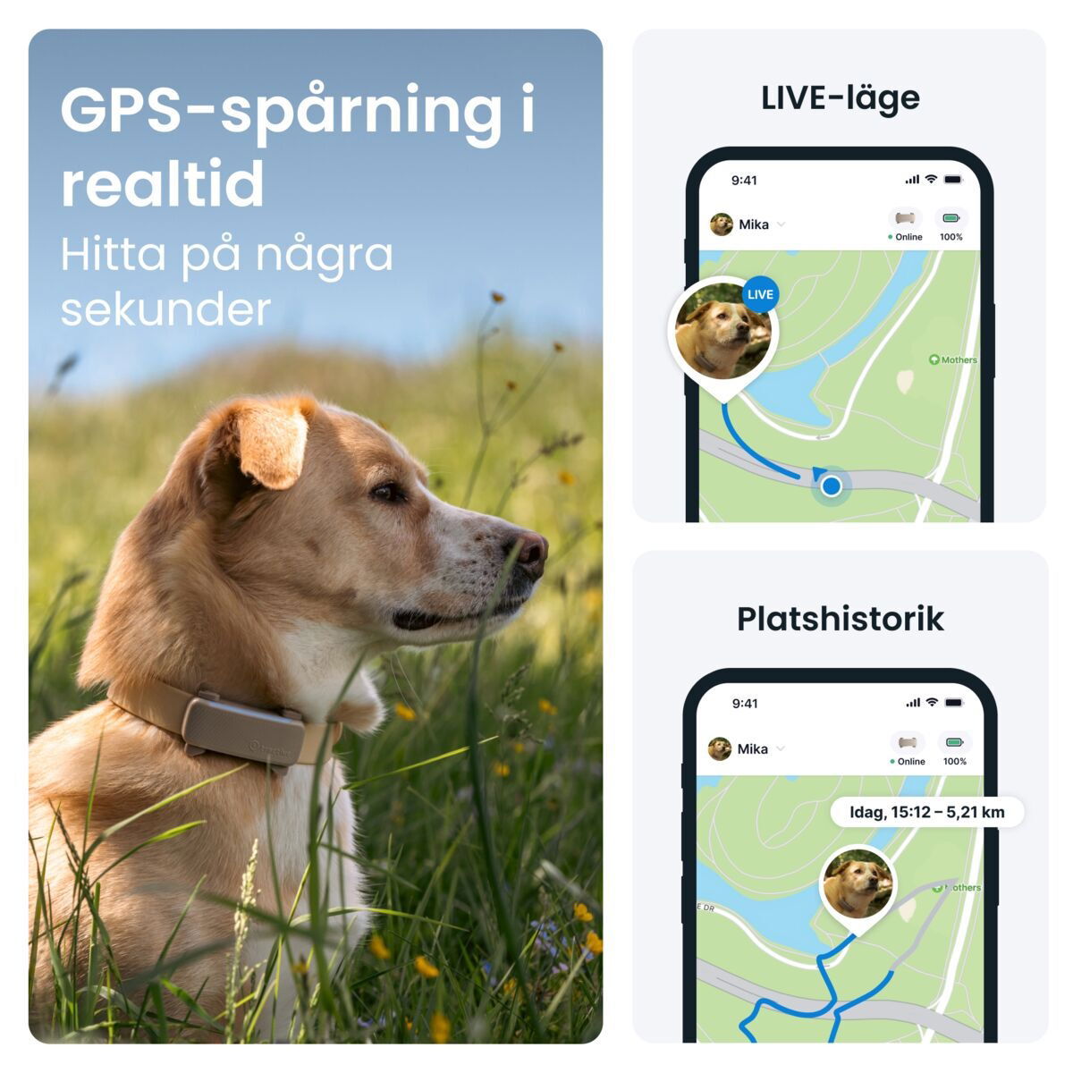 Tractive for DOG 6 tracker