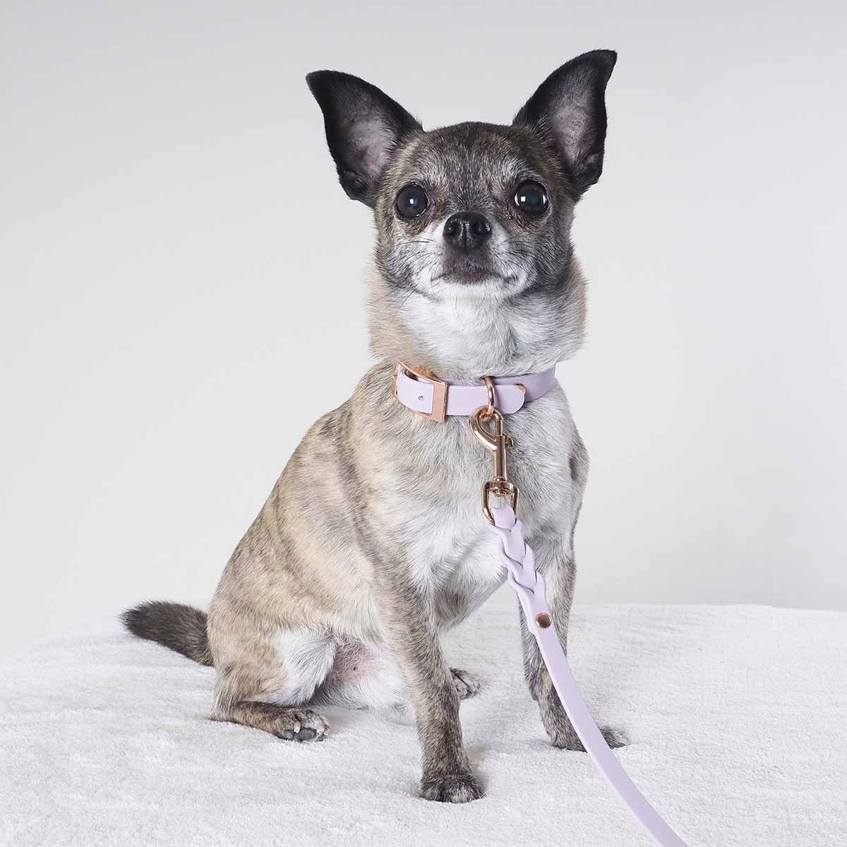 Tyylivoitto Classy narrow collar, lavender