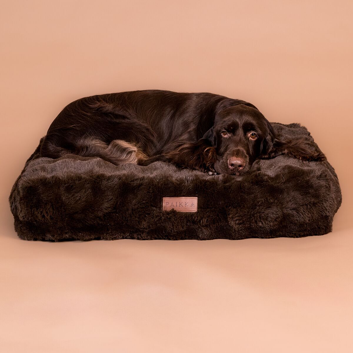 Orthopedic dog bed PAIKKA Lounge