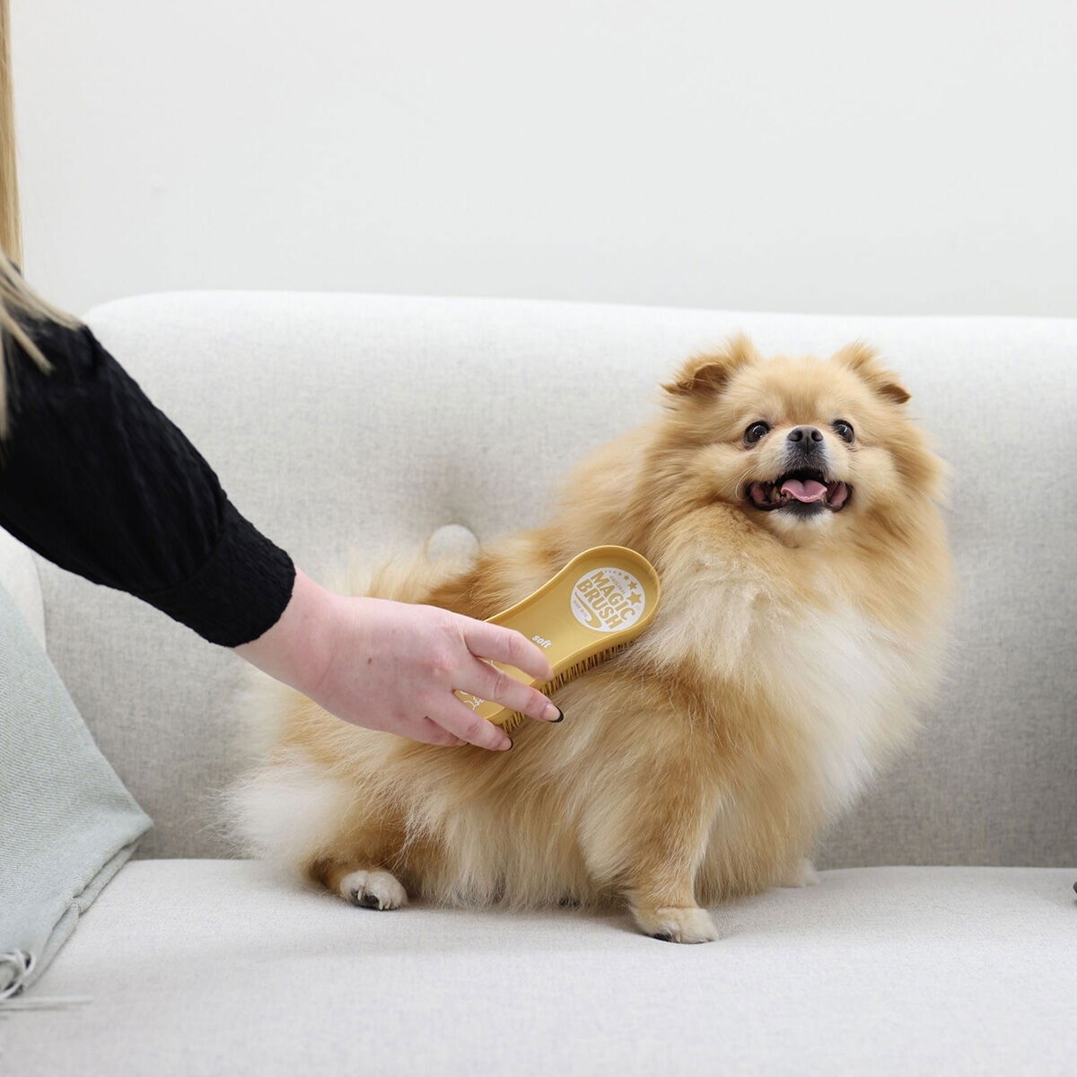 MagicBrush Dog Soft sandstorm